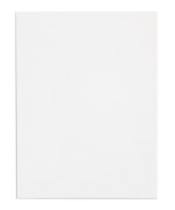 PLATNO SLIKARSKO NAPETO ACADEMY 40x60