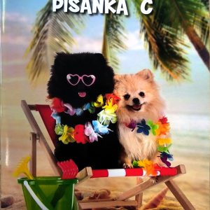 BILJEŽNICA OBR.3A PIS.C ZA 2.I 3R NN